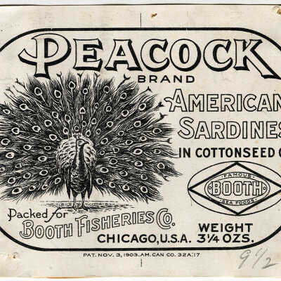 Peacock Brand. American Sardines in Cottonseed Oil. | [No Artist Defined]