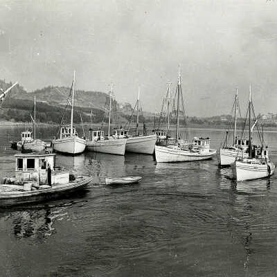 Sardine Carriers, Blacks Harbour, New Brunswick | [No Artist Defined]