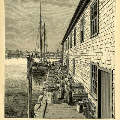 The Sardine Industry. Plate 139 | From a photograph by T.W. Smillie