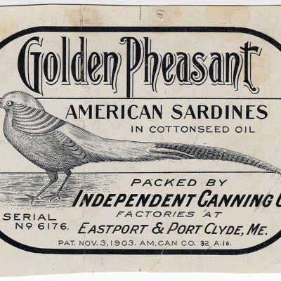 Golden Pheasant | American Sardines in Cottonseed Oil