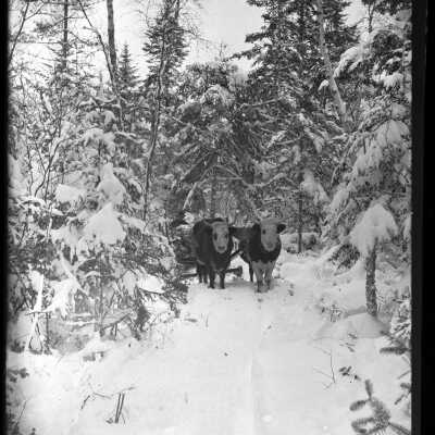 Dennysville, Maine | John Parris Sheahan