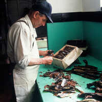 Frank Van Riper (1946- ) | McCurdy Smokehouse