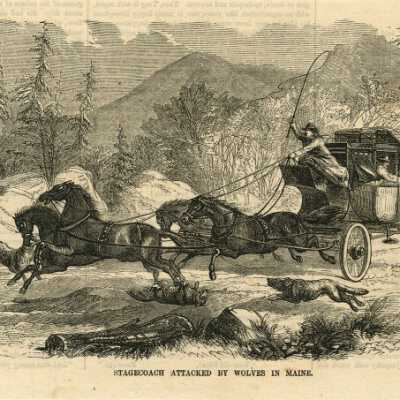 Stagecoach Attacked by Wolves in Maine [Airline Road] | 1858
