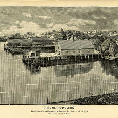 The Sardine Industry. Plate 133 | From a photograph by T.W. Smillie