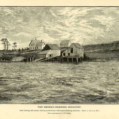 The Smoked-Herring Industry. Plate 124 | From a photograph by T.W. Smillie