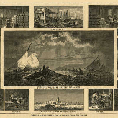 American Sardine Fishery | Granville Perkins
