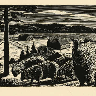 Winter Night | Pauline Inman