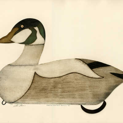 Eider Duck Drake Decoy, Nova Scotia | Arthur Nevins