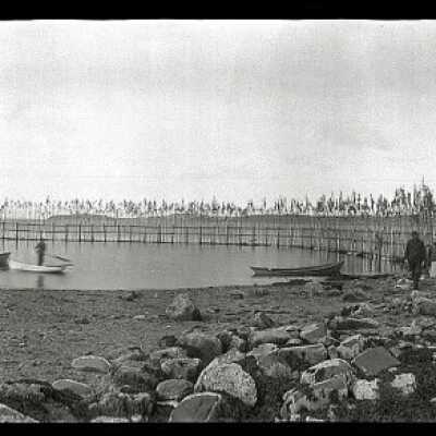 Weir Scene | [No Artist Defined]