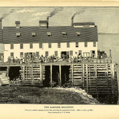 The Sardine Industry. Plate 134 | From a photograph by T.W. Smillie