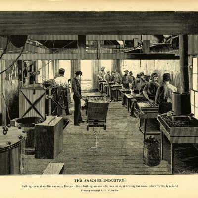 The Sardine Industry. Plate 145 | From a photograph by T.W. Smillie