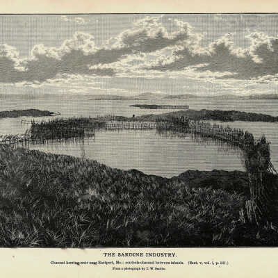 The Sardine Industry. Plate 130 | From a photograph by T.W. Smillie