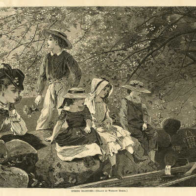 Spring Blossoms — Drawn by Winslow Homer | Winslow Homer