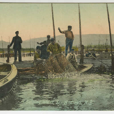 Seining Weirs, St. Andrews, New Brunswick | Postcard