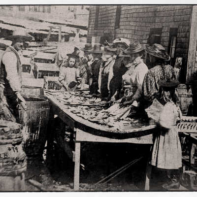 Stringing Herring at Smoke House, Grand Manan, New Brunswick | Postcard