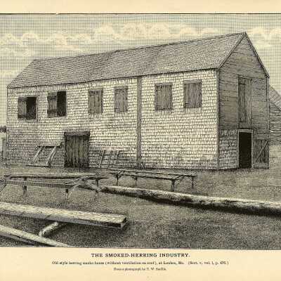 The Smoked-Herring Industry. Plate 125 | From a photograph by T.W. Smillie