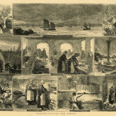 Sardine Fishing and Curing | [No Artist Defined]