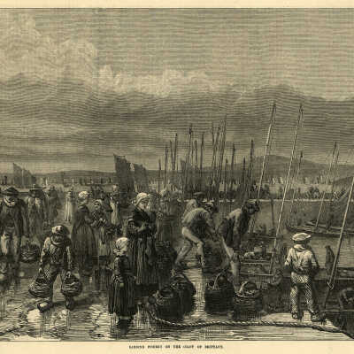 Sardine Fishery on the Coast of Brittany | [No Artist Defined]