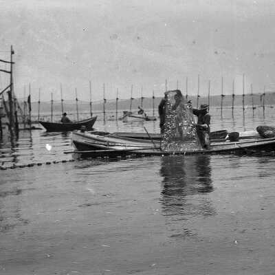Weir Fishing Scene, Johnson's Cove, Eastport, Maine | Roscoe Emery