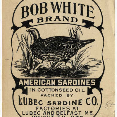 Bob White Brand. American Sardines in Cottonseed Oil.