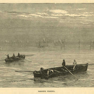 Sardine Fishing | [No Artist Defined]