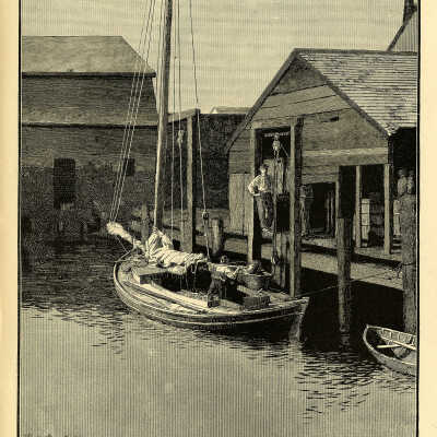 The Sardine Industry. Plate 135 | From a photograph by T.W. Smillie