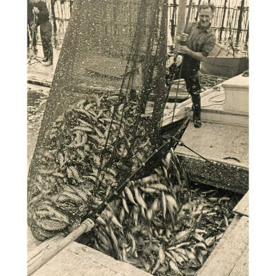 Herring Fisheries | George Daniell