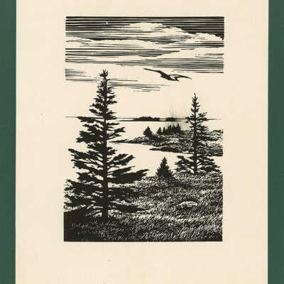 Christmas Card [Birds Flying over Evergreen Landscape] | Pauline Inman