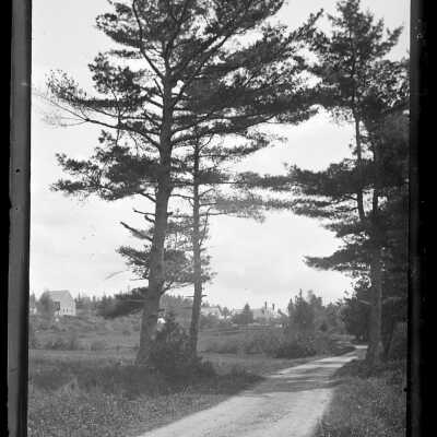 Dennysville, Maine | John Parris Sheahan