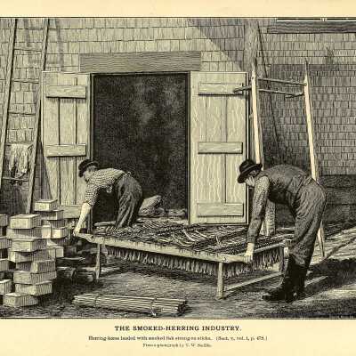 The Smoked-Herring Industry. Plate 126 | From a photograph by T.W. Smillie