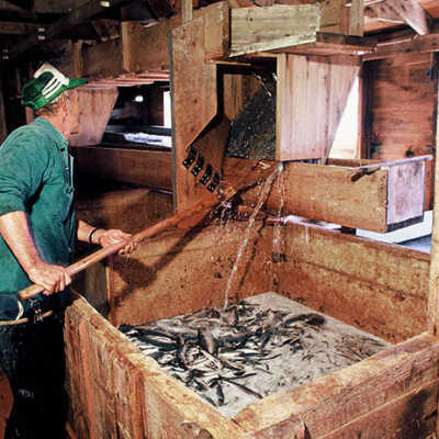 McCurdy Smokehouse | Frank Van Riper