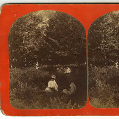 Cherryfield, Maine | Lycurgus Wasgatt