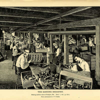 The Sardine Industry. Plate 146 | From a photograph by T.W. Smillie