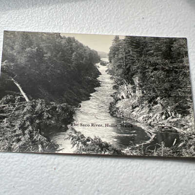 Postcard in Dyer Library archives (MMS51.Ph31)