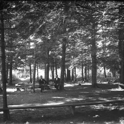 In Grove, Guild Park, Ocean Park, ME