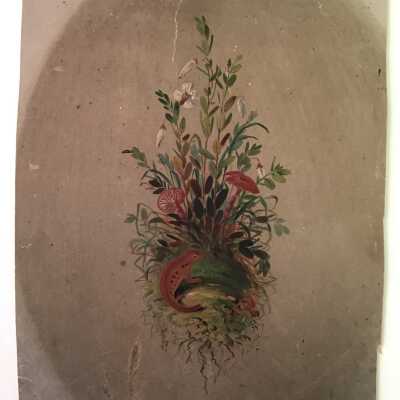 Wildflowers and Salamander