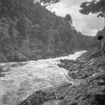 Logs on the Saco River