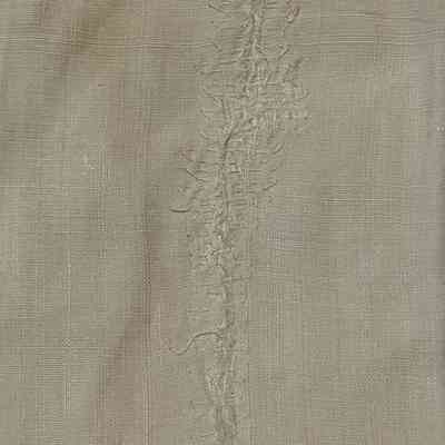 Darned area on patch on the back