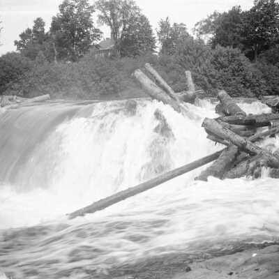 Logs on the Saco River