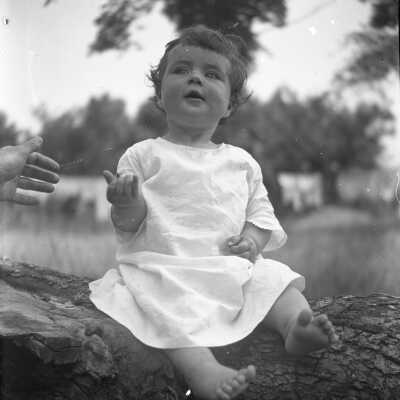 Phebe Bradbury