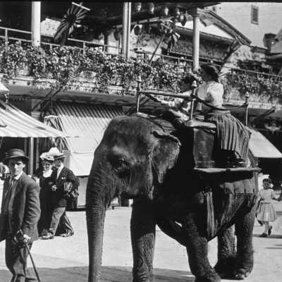 Woman Riding an Elephant at Luna Park, Coney Island, New York