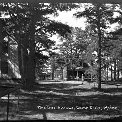 Pine Tree Avenue, Cam Ellis, ME