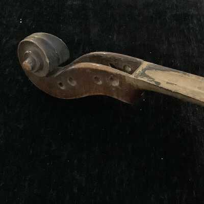 Violin