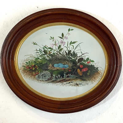 Robin’s Nest