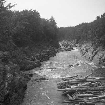 Logs on the Saco River