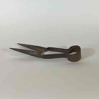 Sheep shears