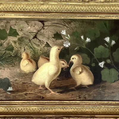 Bob White Chicks