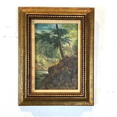 Woodland Scene