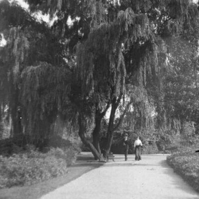 Branch Brook Park, Newark, NJ