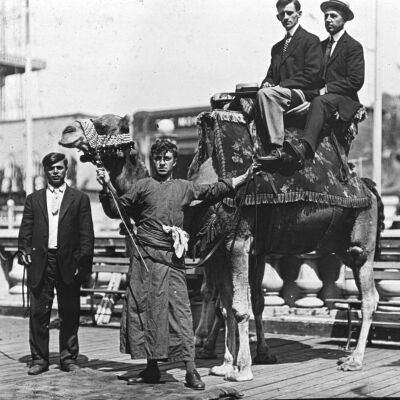 Camel attraction at Dreamland, Coney Island, NY